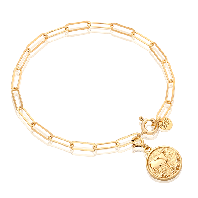 Chain bracelet with a snake coin from the Chinese zodiac