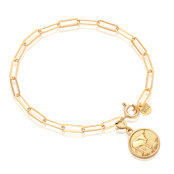 Chain bracelet with a snake coin from the Chinese zodiac