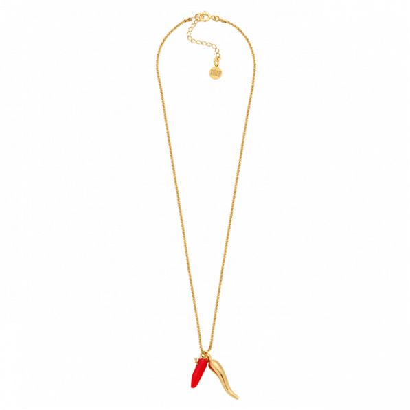 Chain necklace with pendant in the shape of a pepper and red coral
